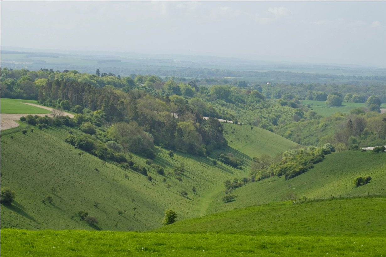 Historic Environment Action Plans - Cranborne Chase National Landscape