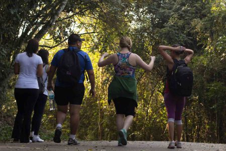 People walking outside among trees