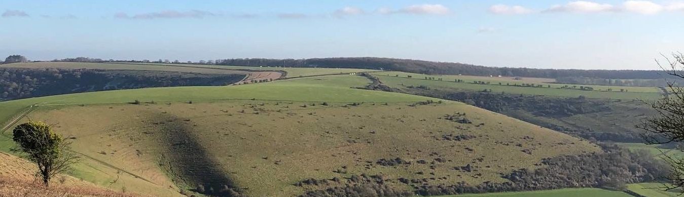 Cranborne Chase National Landscape on X: Edible Ebble is a