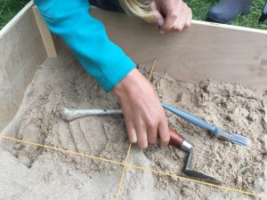 Shows child hand with a trowel to move sand to find bones in a dig box