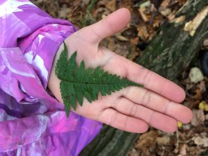 Forest School Girl with Leaf