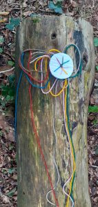 Medieval Weaving Forest School