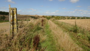 Roman history of Cranborne Chase Ackling Dyke