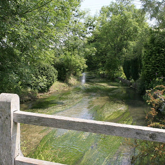 River Ebble with white bridge, Coombe Bissett