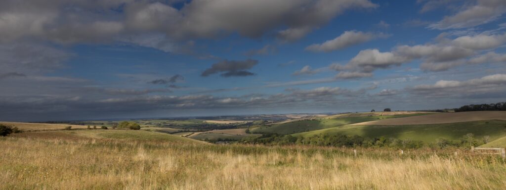 Cranborne Chase National Landscape on X: Edible Ebble is a