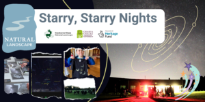Starry Starry Nights Banner