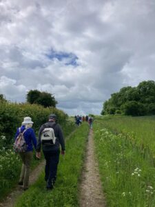 View of a walk